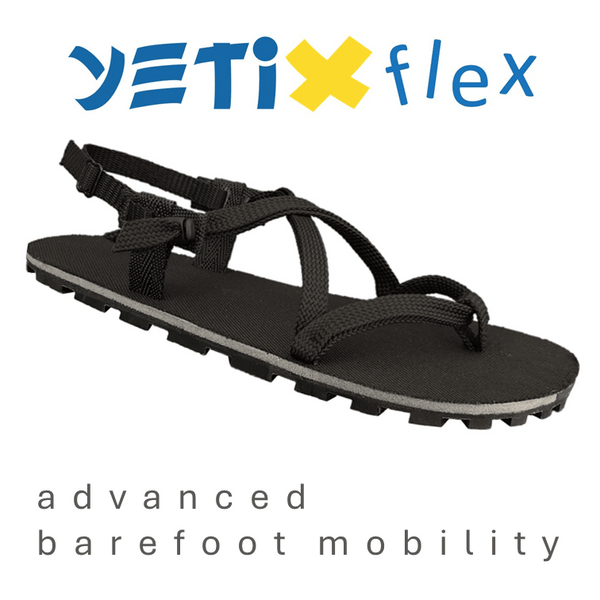 2. Yeti X flex