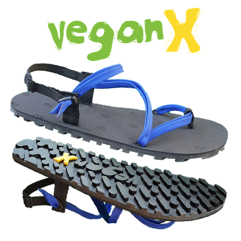 1. Vegan X